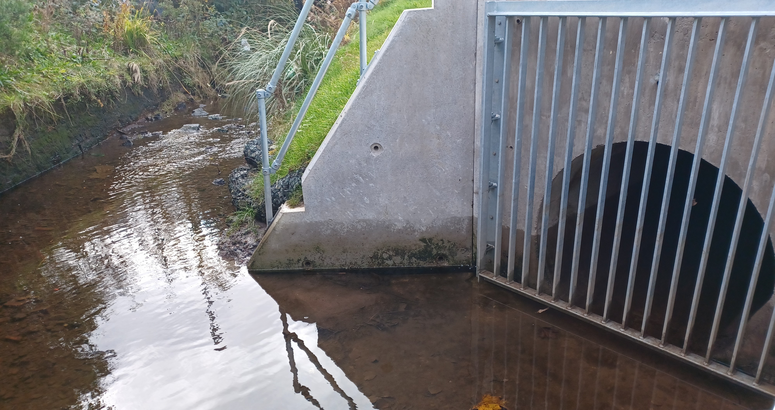 New overflows will be installed and existing ones upgraded Improving Urban Waters Launch