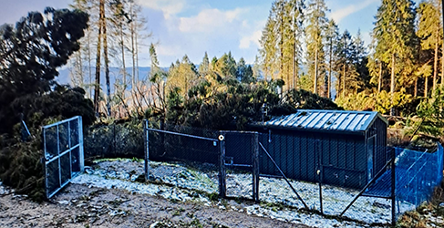 Storm Eowyn Eredine WTW Fallen tree on Eredine Water Treatment Works during Storm Eowyn